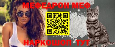 стафф Донской