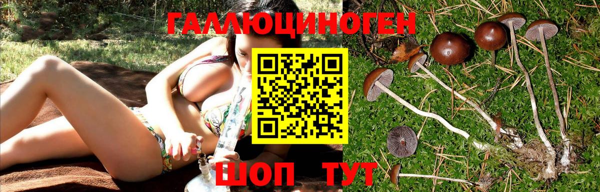 Псилоцибиновые грибы GOLDEN TEACHER Лысьва